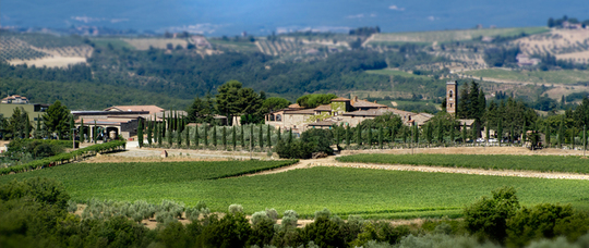 San Felice - イタリア食材・ワインの輸入商社 大倉フーズ株式会社